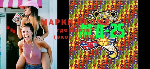 стафф Михайлов