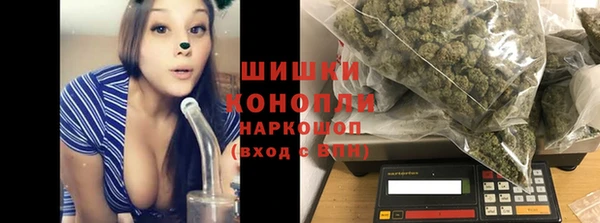 СК Михайловск