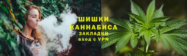 стафф Михайлов
