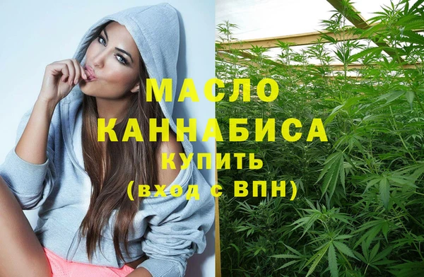 тгк Гусев