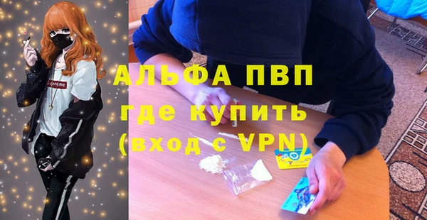 СК Михайловск