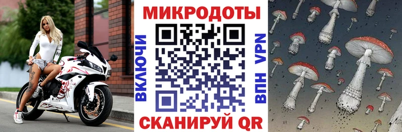 как найти наркотики  блэк спрут вход  Псилоцибиновые грибы мухоморы  Дудинка 