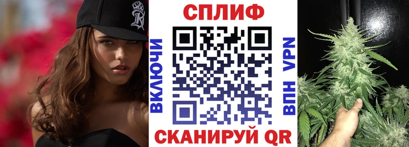Конопля гибрид Дудинка
